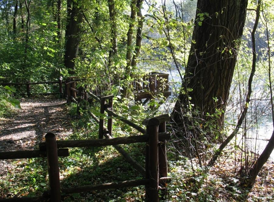 Park Młociński