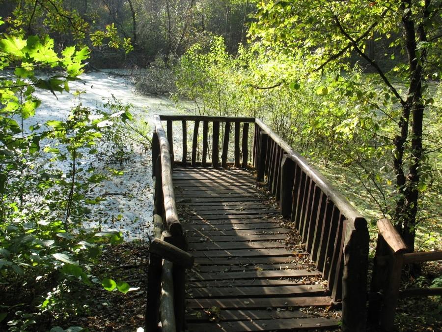Park Młociński