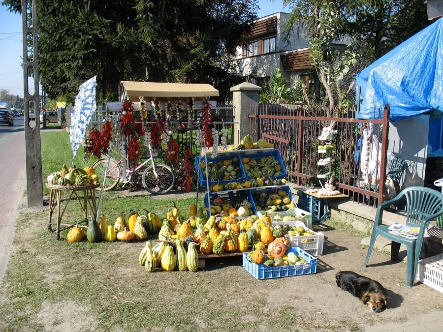 Dynie dekoracyjne, na wazony, cukiernice...