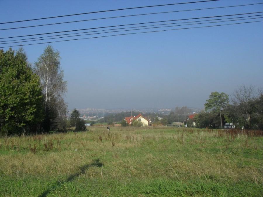 mgiełka z rana...