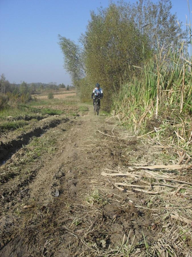 a to jakiś obibok na podjeździe