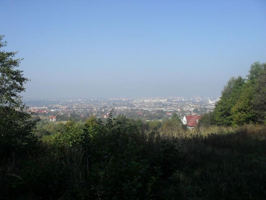 Rzeszówek