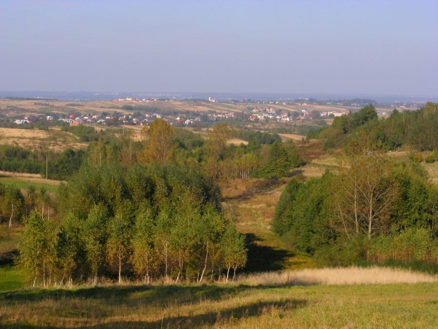 Widok w Kielanówce