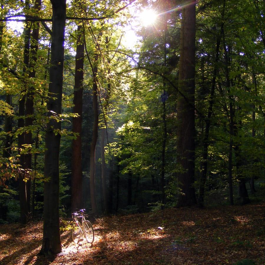 Znak z nieba wskazał na ostre!:P