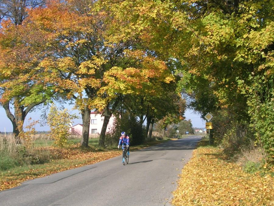 Jesien koło Pyrzowic