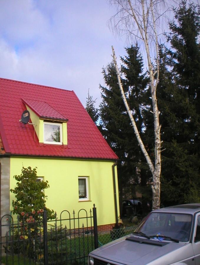 ŁOMŻYŃSKA 26-STARA BRZOZA I BOCZNE WEJŚCIE DO DOMKU :-)