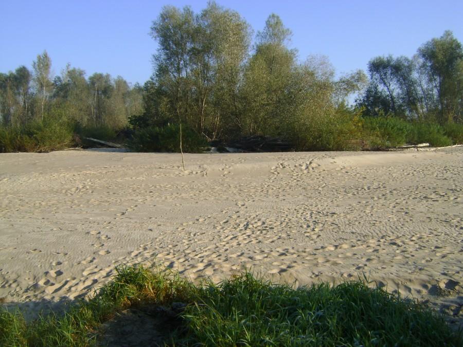 Pustynia wiślana
