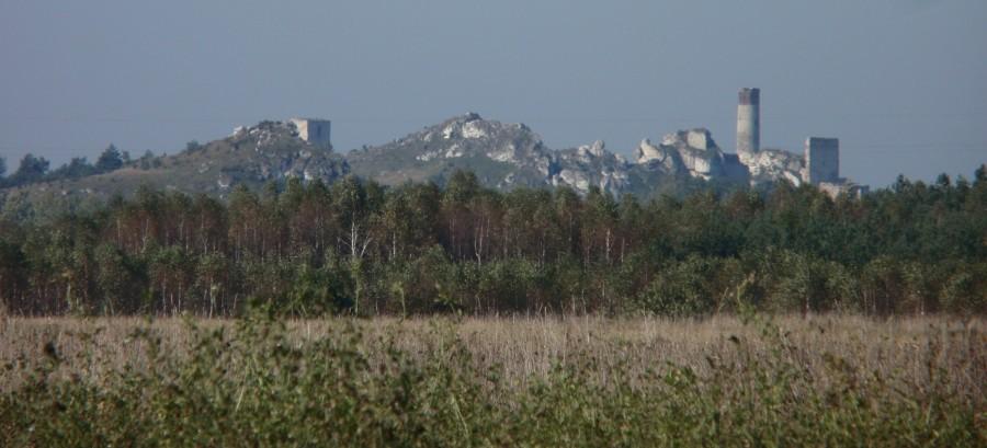Zamek w Olsztynie