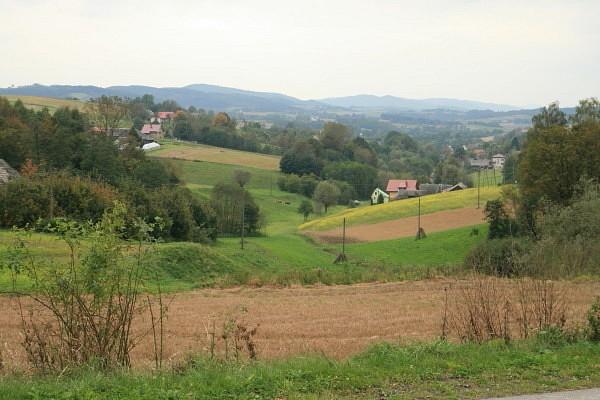 Brzozowa