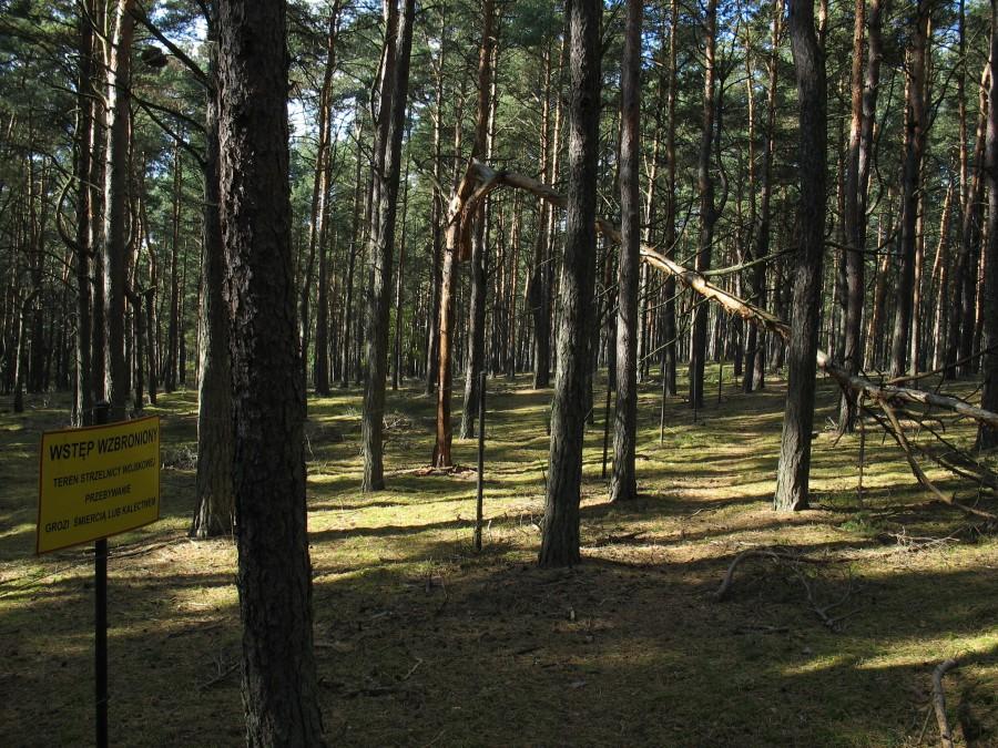 Strzelnica wojskowa