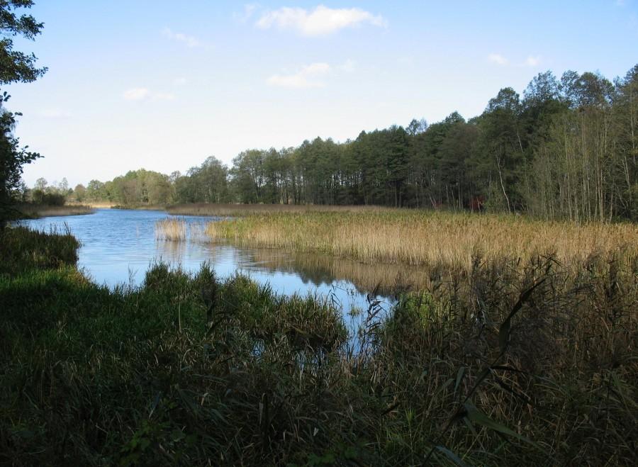 Wieliszew - Jezioro Kwietniówka