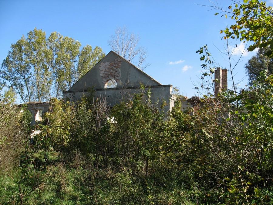 Ruiny folwarku Wieliszew