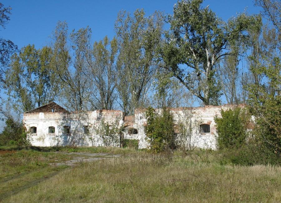 Folwark Wieliszew - ruiny stajni
