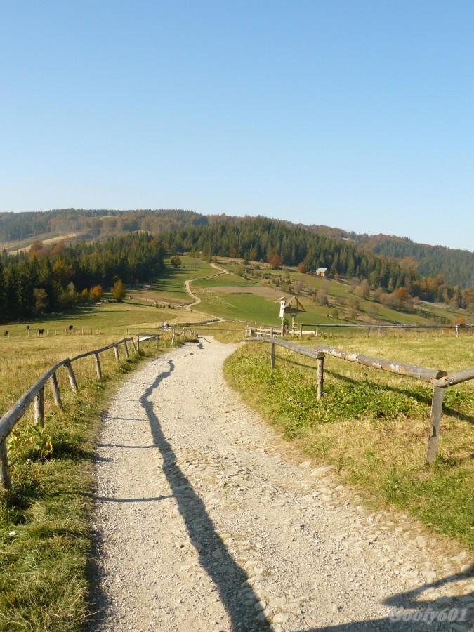 Malownicza droga na Prusów.