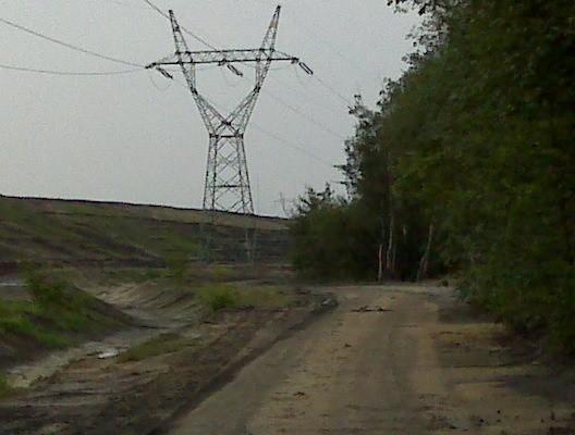 Hałdy, rekultywacja
