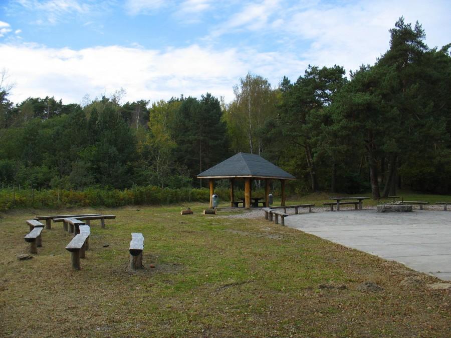 Polana w Magdalence