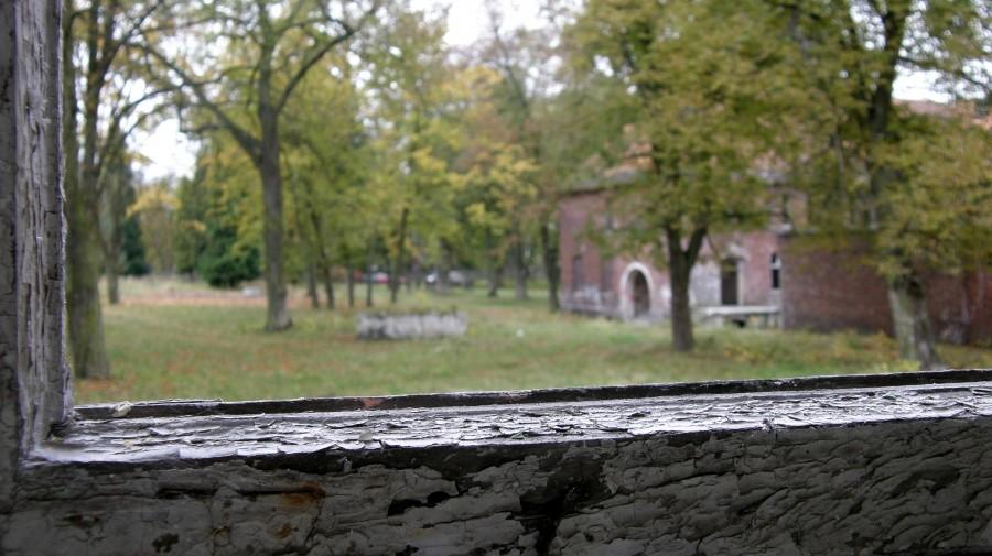 Widok z okna opuszczonego szpitala psychariatycznego w Owińskach ...
