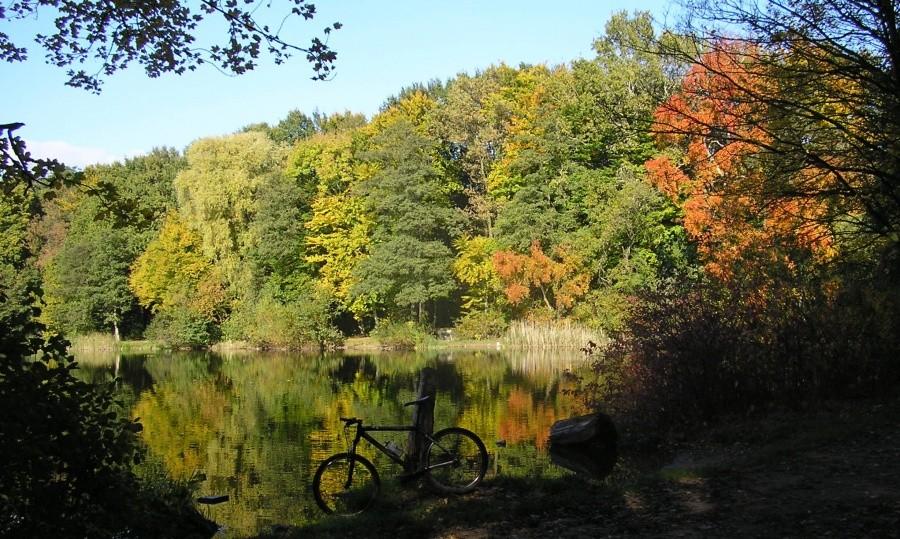 Barwy jesieni nad Rusałką