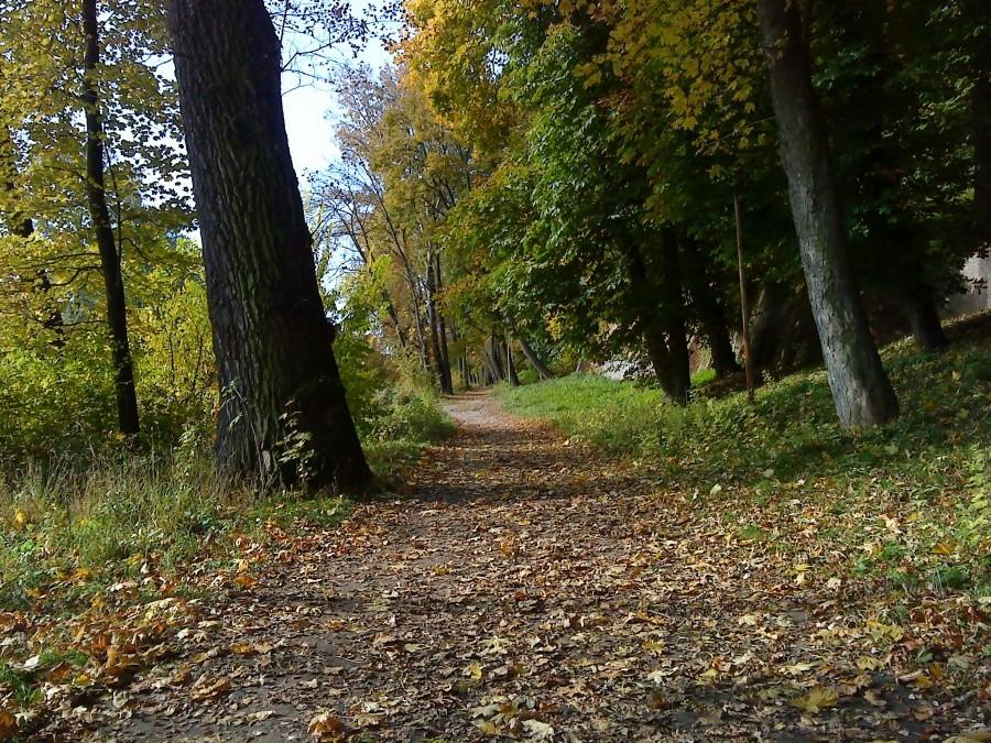 Puławy jesienią