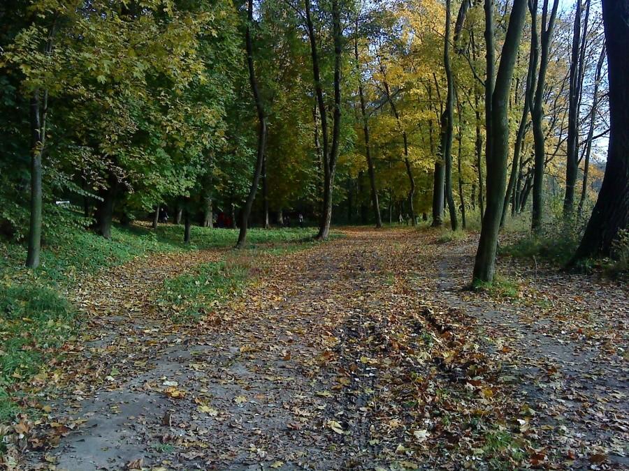 Puławy jesienią
