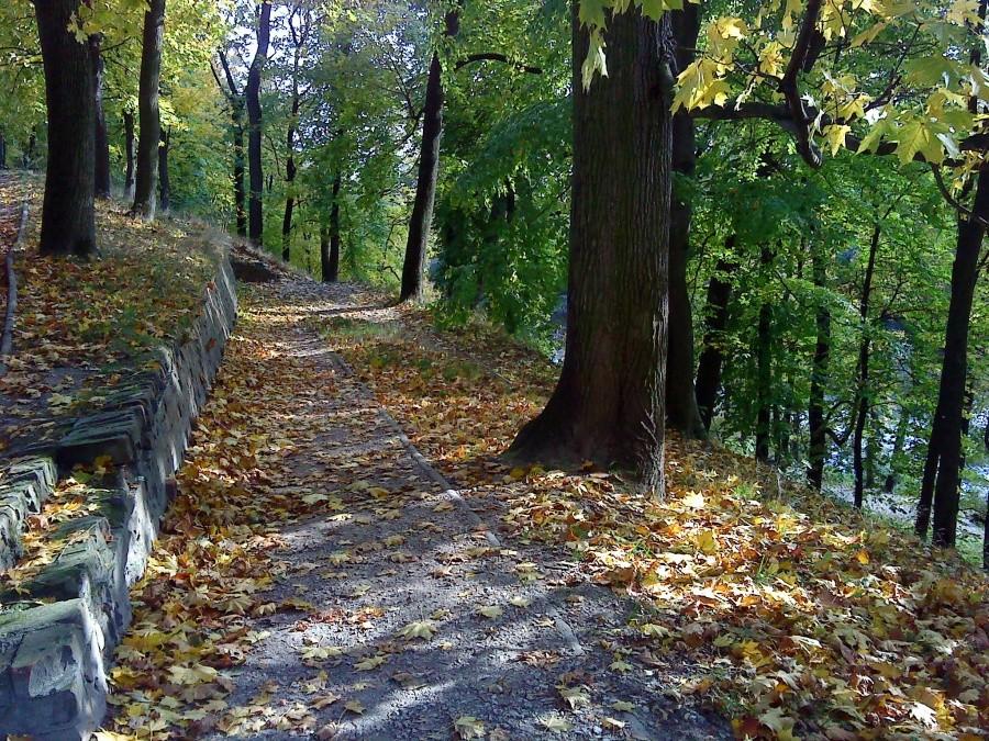 Puławy jesienią