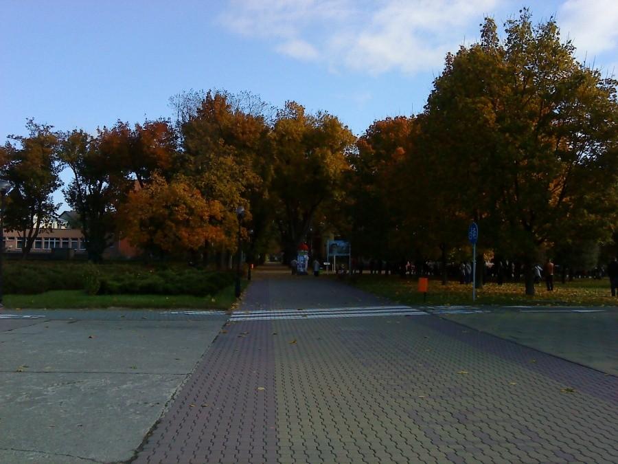 Puławy jesienią