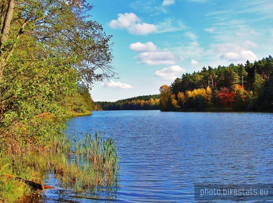 Las,jezioro i jesień.