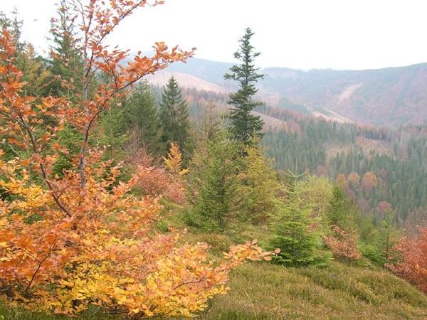 Jesień w Beskidach 2