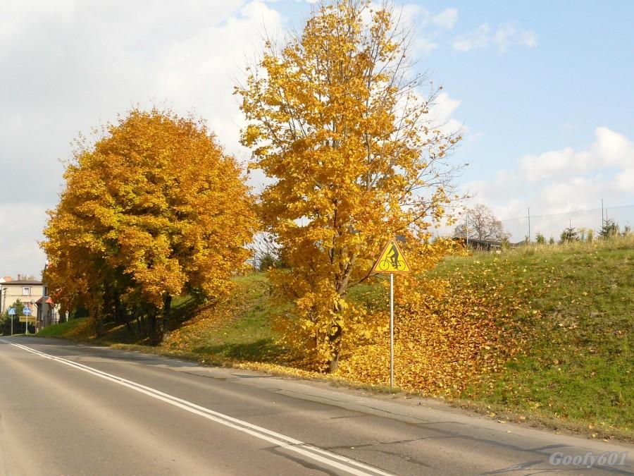 Liściasta posypka :)
