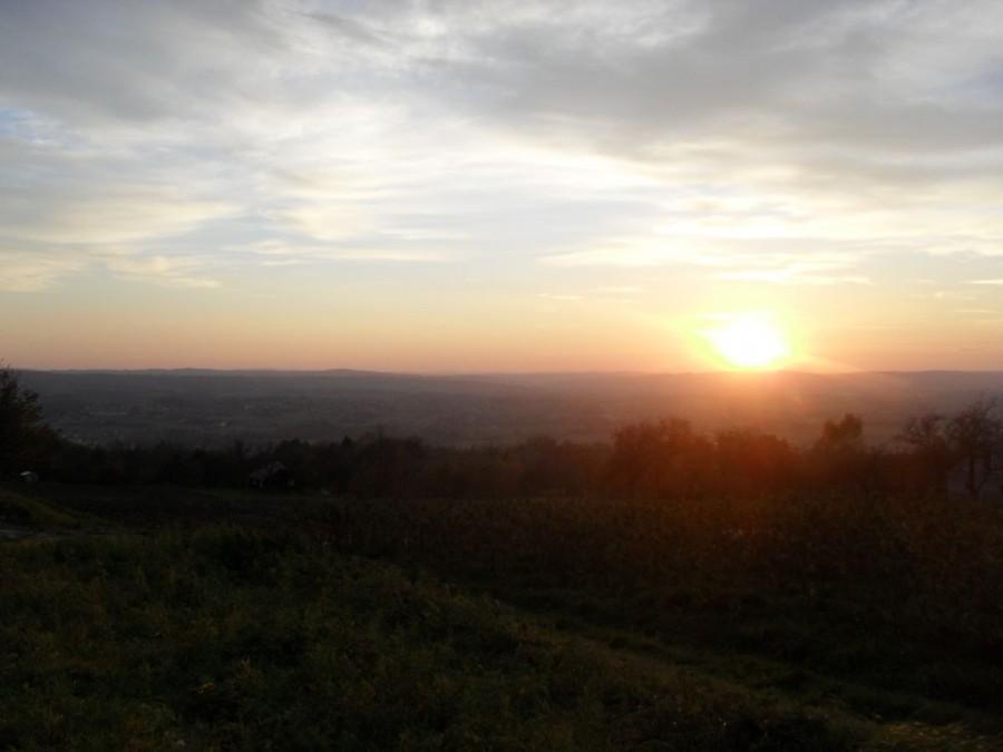 słoneczko