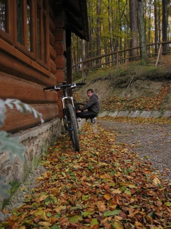 W Przylasku.