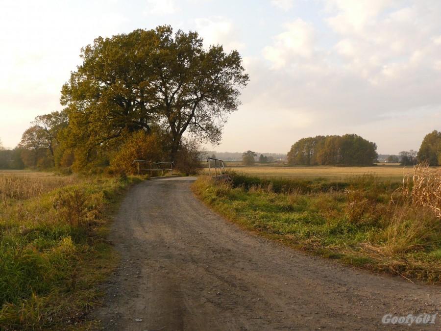 Polna droga w Żernikach