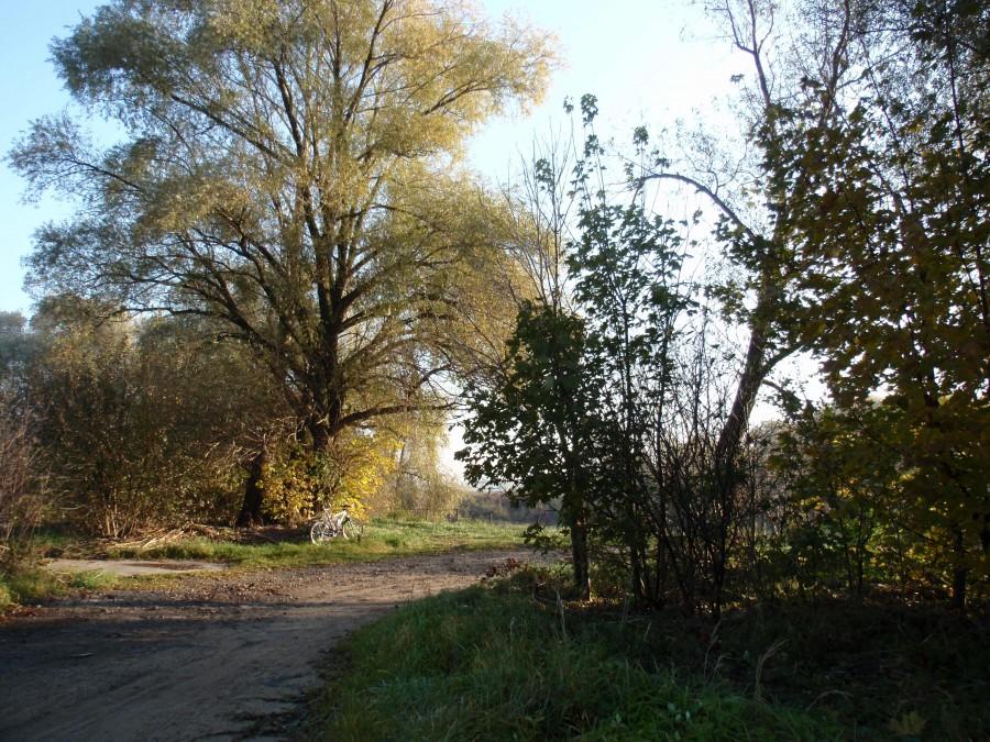 Ścieżką wzdłuż Warty