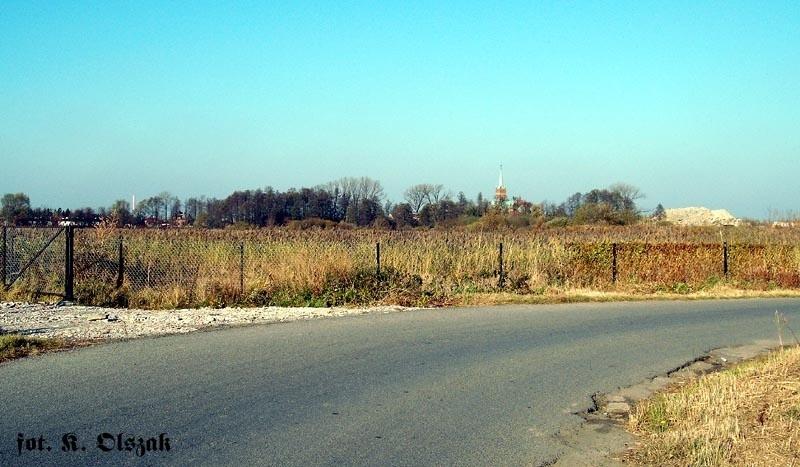 Zerzeń