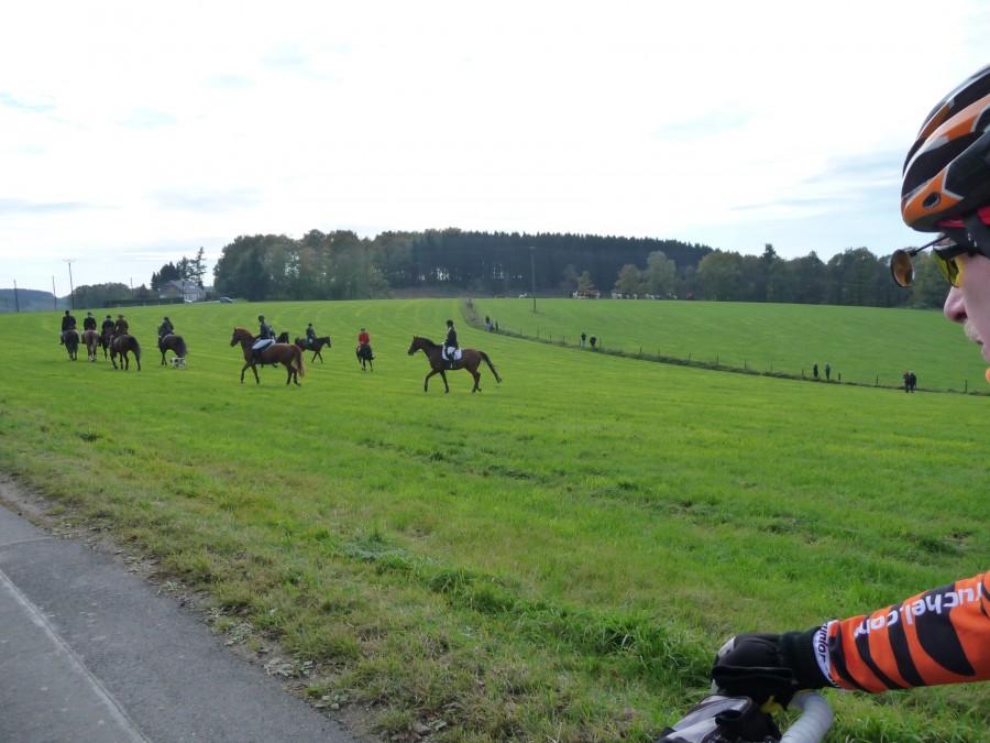Runda W-Schwenke-Rade-Huckeswagen-W / - impreza jeździecka "pogoń za lisem"