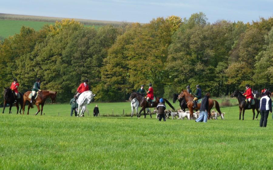 Runda W-Schwenke-Rade-Huckeswagen-W / - impreza jeździecka "pogoń za lisem"