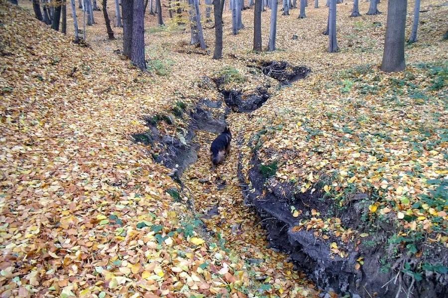 Jak jest strumyk, trzeba wejść:)