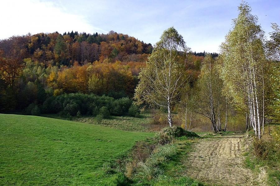 Barwy jesieni