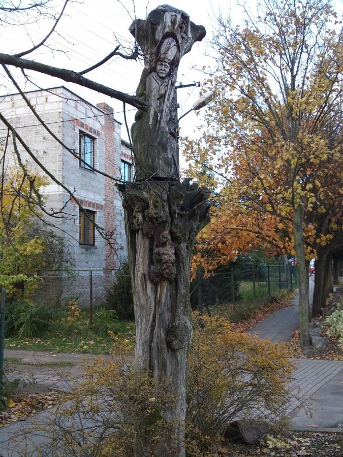 Dziwne drzewo ...