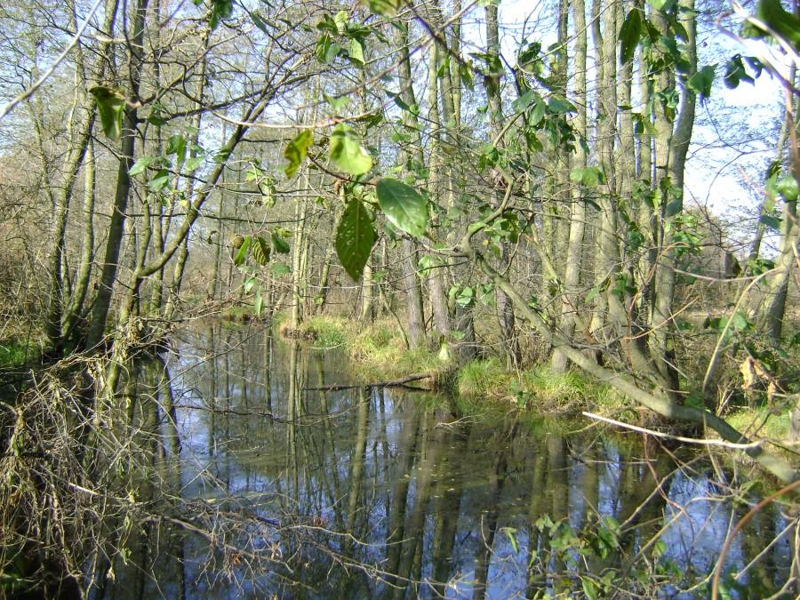 Jesień na Podobie