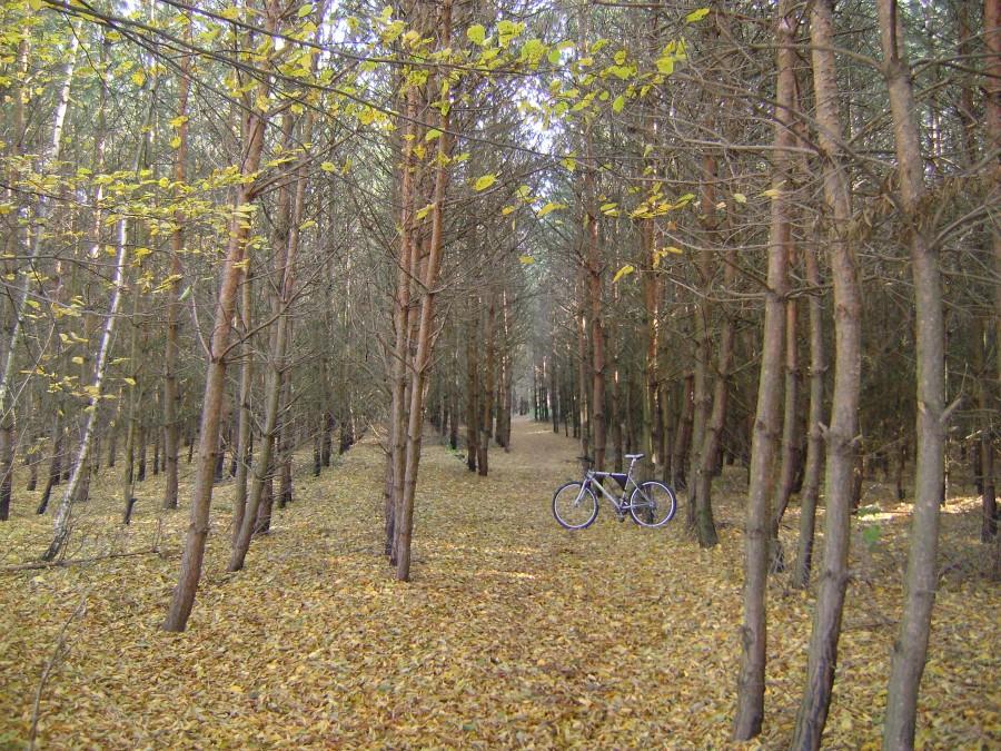 Jesień na Podobie