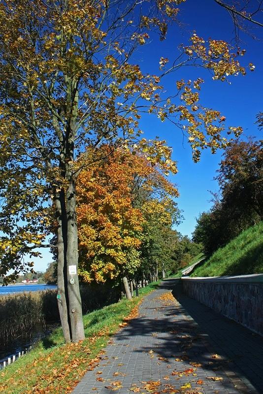 Promenada wzdłuż brzegu