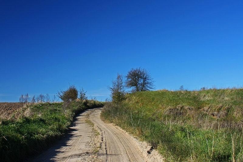 Polna dróżka