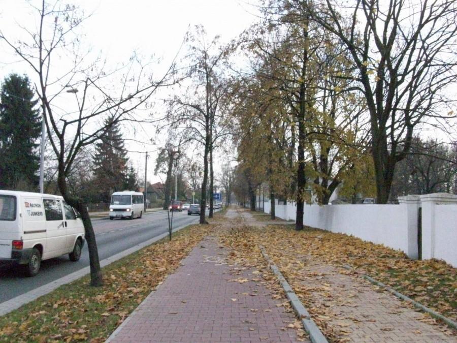 Kazimierska