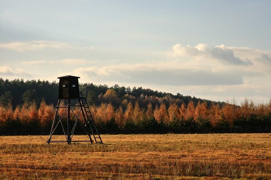 Ambona, podkarpacie.