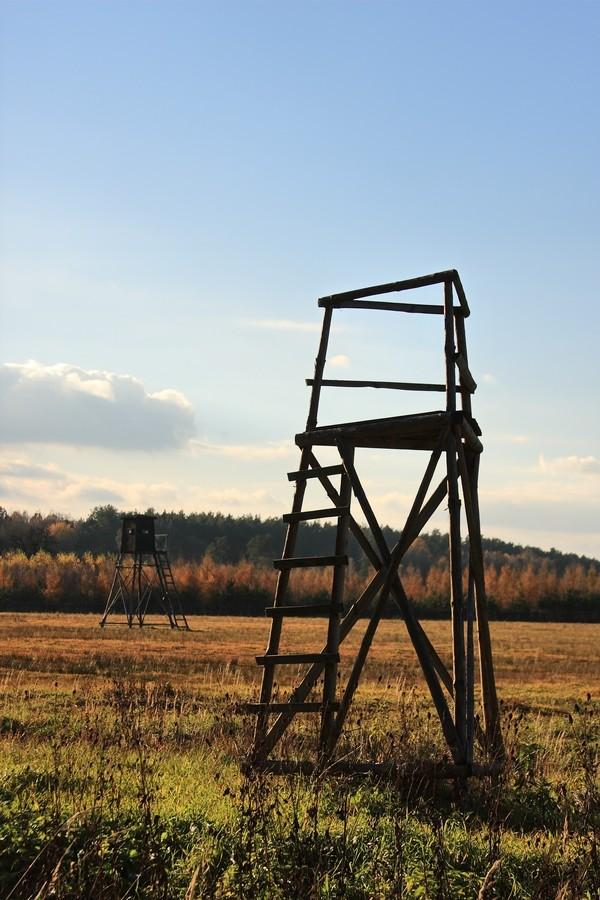 Podkarpackie ambonki...