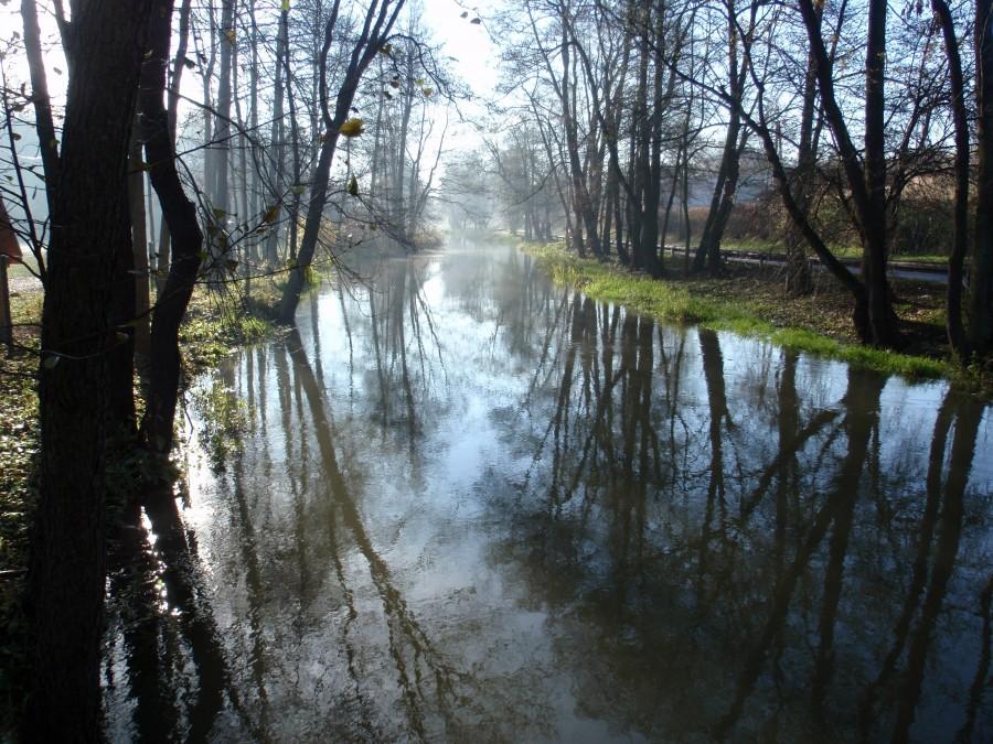 Biała Przemsza