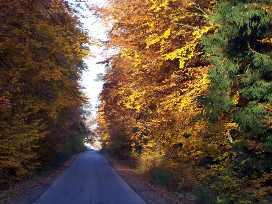 Między Pampow a Gruenhof.