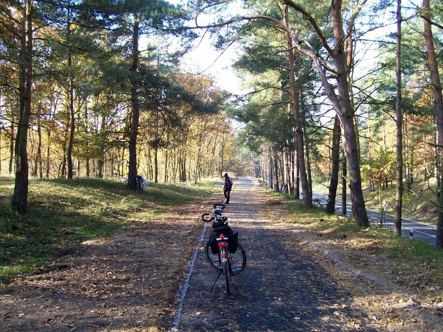 Nowowybudowana ścieżka Vogelsang-Altwarp....nie z kostki, jak u nas!