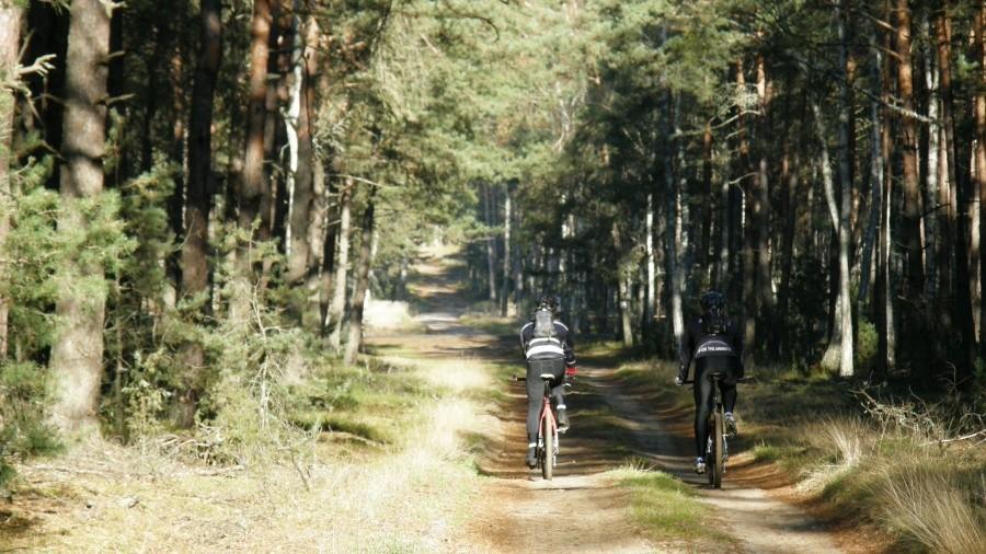 Leśne klimaty i ostre jesienne słońce
